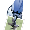 jUploadr Logo