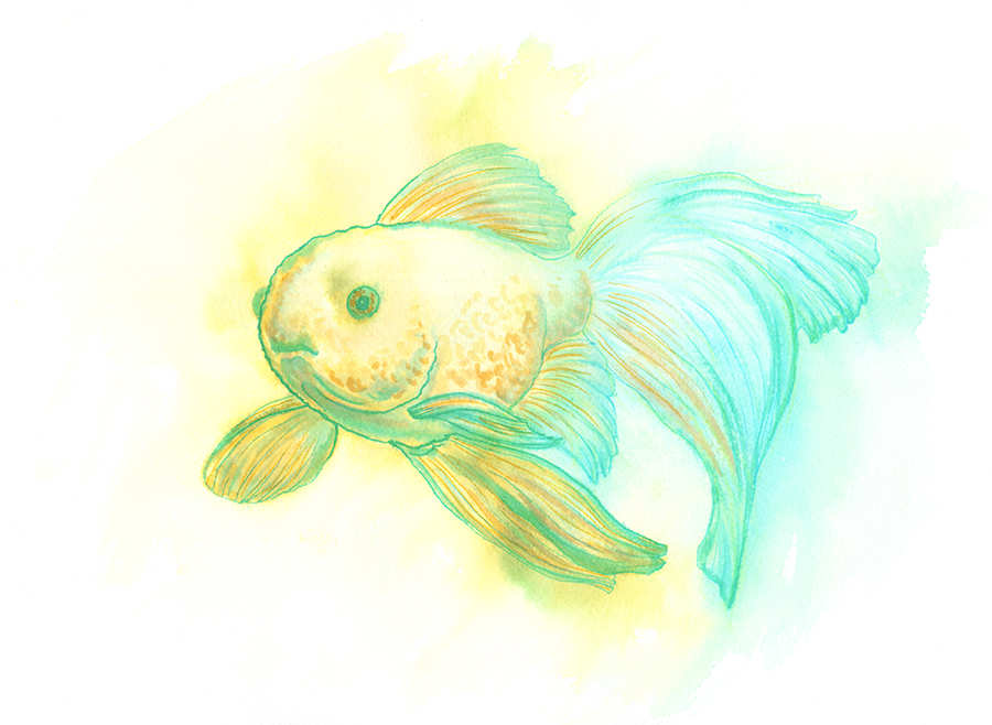 gold-fish-blue-sm
