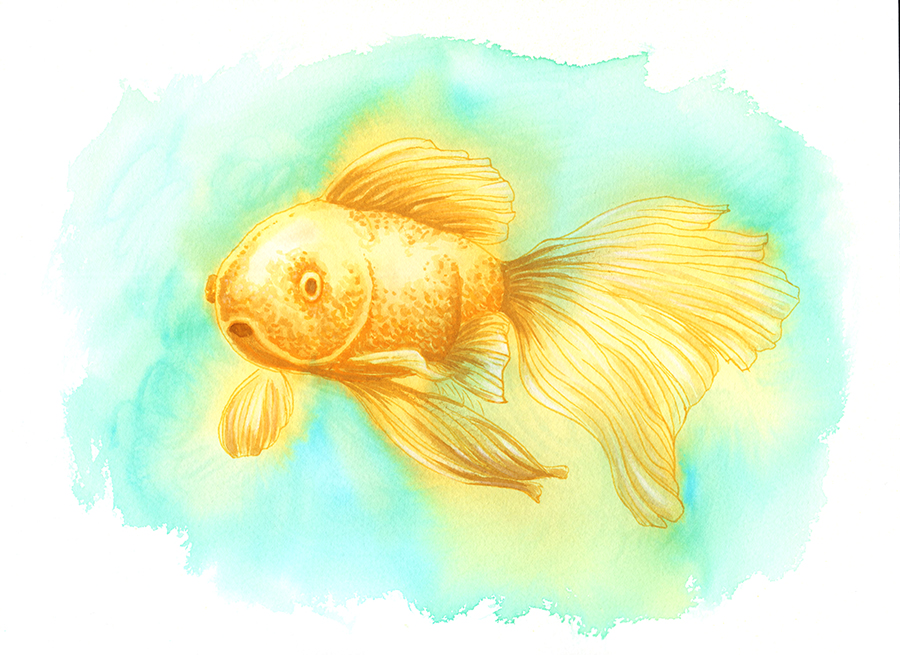 gold-fish-yellow-sm