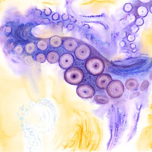 Abstract Octopus #04 - Print
