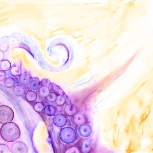 Abstract Octopus #05 - Print