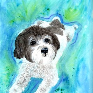 Shitzu Dog Portrait - Print