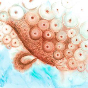 Abstract Octopus #01 - Orange Print